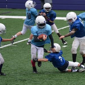 Meet your Posher, Wyatt